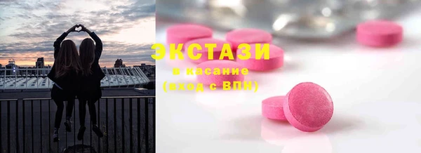 гидра Богородск