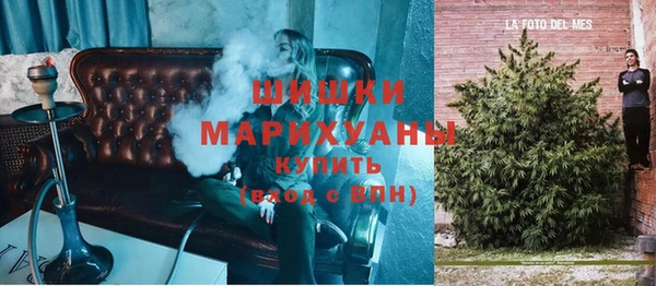 гидра Богородск