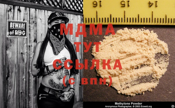 гидра Богородск