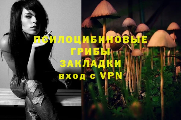 прущая мука Богданович