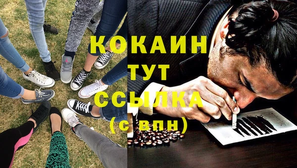 гидра Богородск