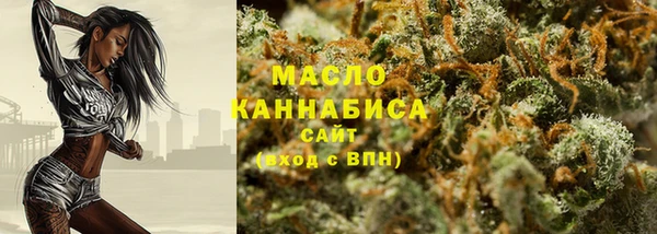 гидра Богородск
