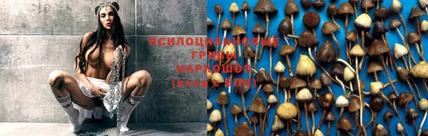 MESCALINE Богородицк