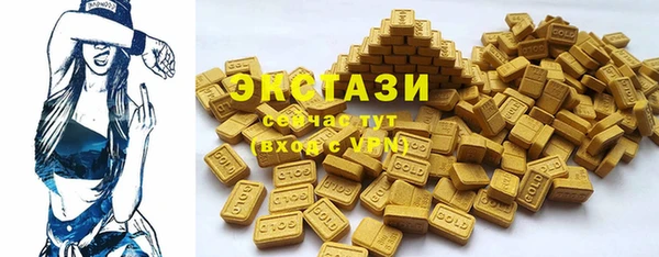 гидра Богородск