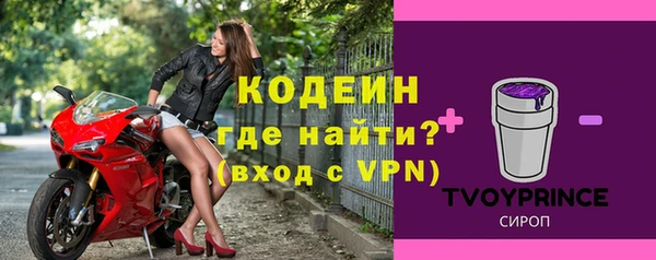 гидра Богородск